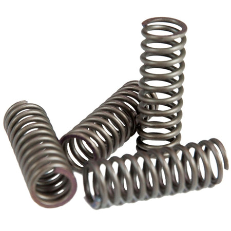 EBC Clutch Spring Kit (007809)