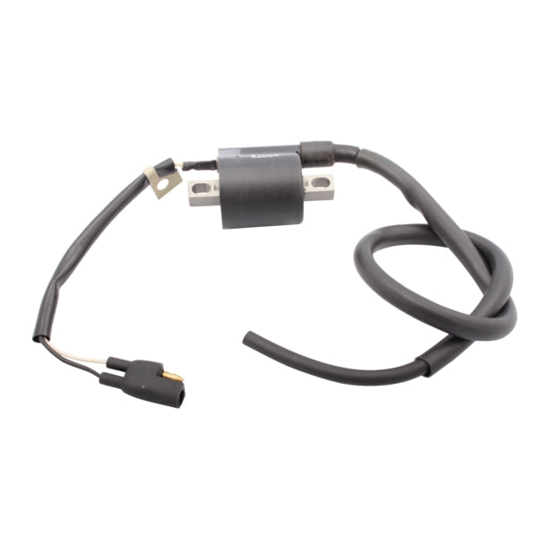 Kimpex Ignition Coil (279658)