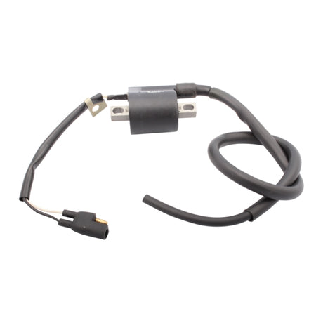 Kimpex Ignition Coil (279658)