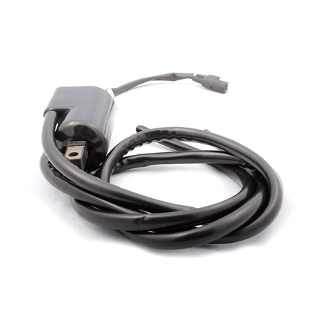 Kimpex Ignition Coil (279659)