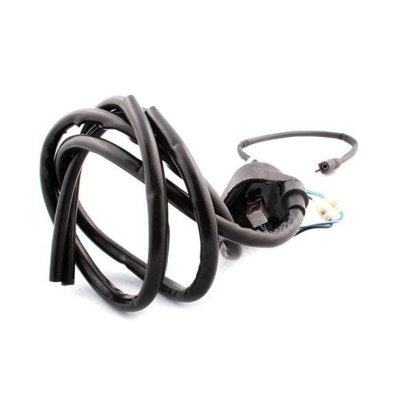 Kimpex Ignition Coil (279662)