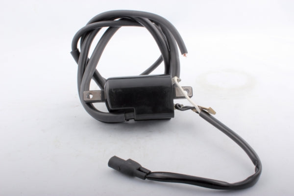 Kimpex Ignition Coil (279661)