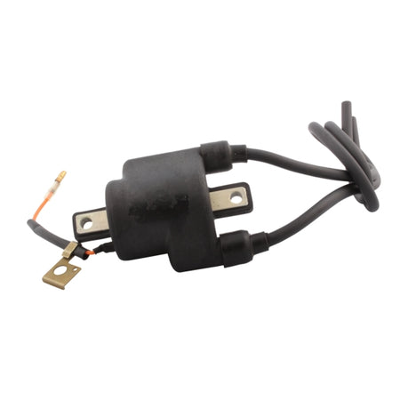 Kimpex Ignition Coil (279664)