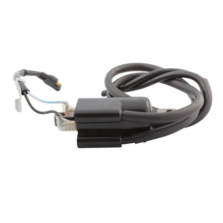 Kimpex Ignition Coil (279679)