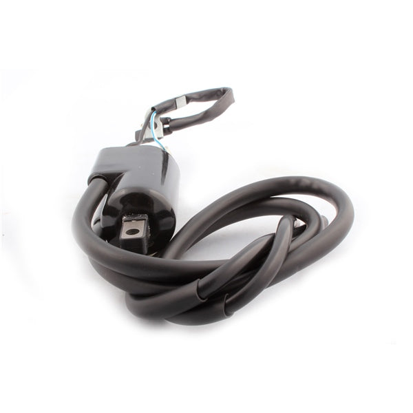 Kimpex Ignition Coil (279679)