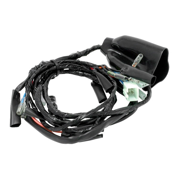 DRC/ZETA/UNIT Main Harness (023105)