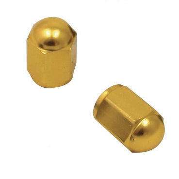 DRC/ZETA/UNIT Valve Cap (023133)