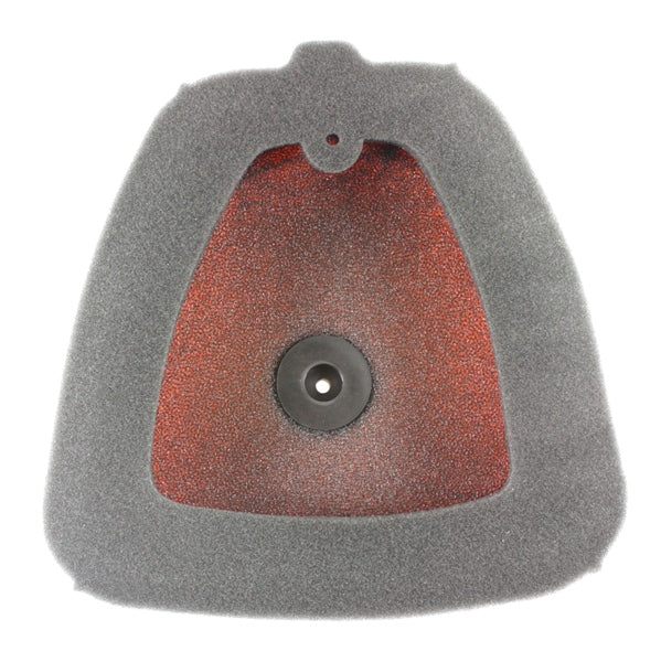 Twin Air Backfire Air Filter (025076)