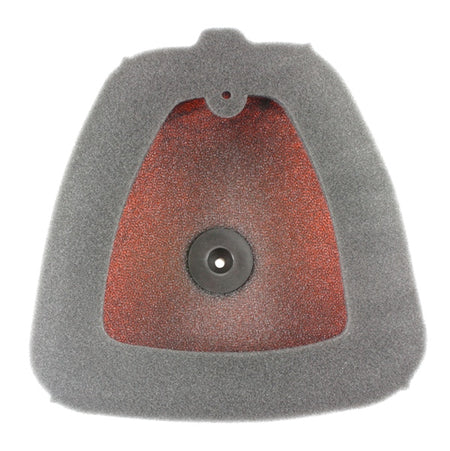 Twin Air Backfire Air Filter (025076)