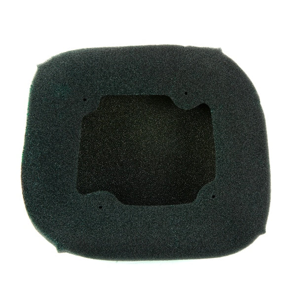 Twin Air Backfire Air Filter (025195)