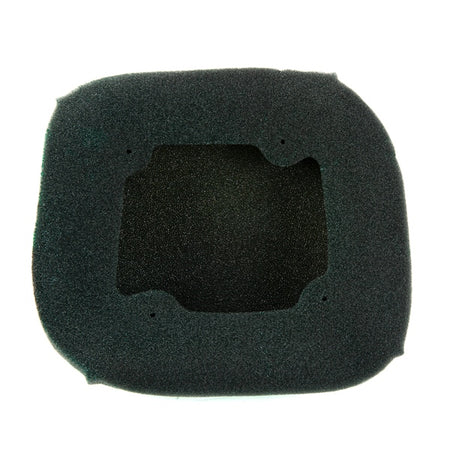 Twin Air Backfire Air Filter (025195)