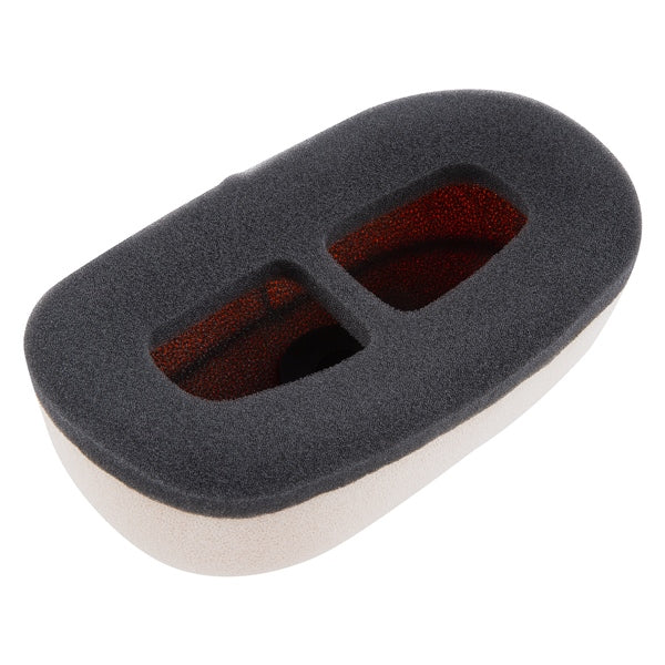 Twin Air Backfire Air Filter (025262)