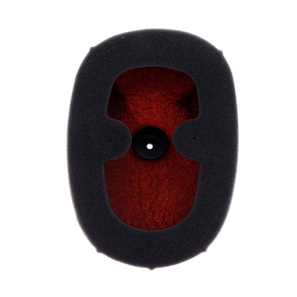Twin Air Backfire Air Filter (025644)