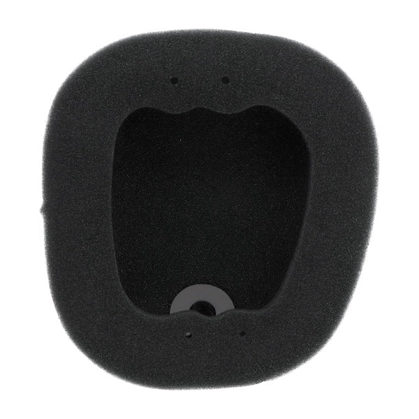 Twin Air Backfire Air Filter (025688)