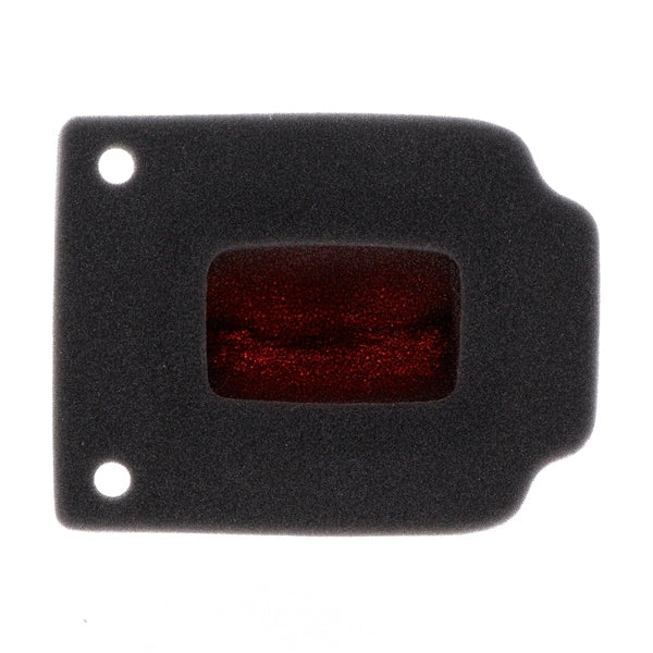 Twin Air Backfire Air Filter (025701)