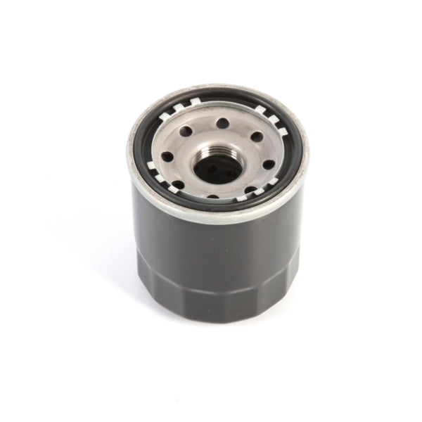 Kimpex Oil Filter (030431)