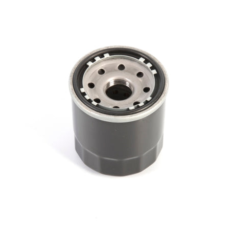 Kimpex Oil Filter (030431)
