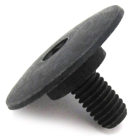 0423-101 SCREW.BODY-6MM
