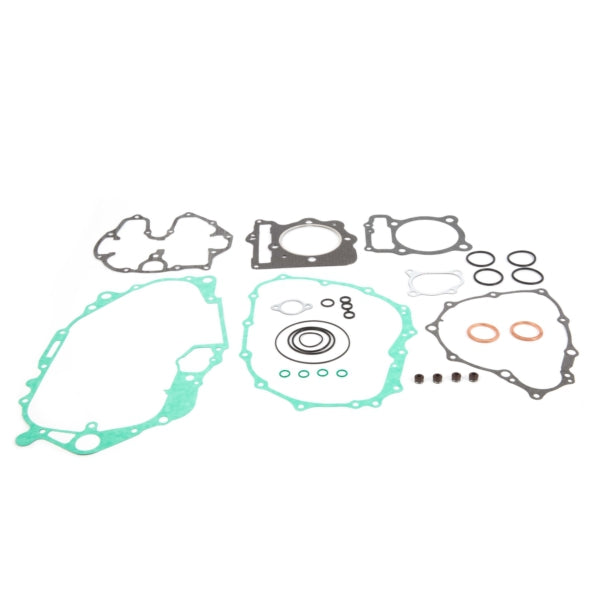 VertexWinderosa Complete Engine Gasket Kit (059224)