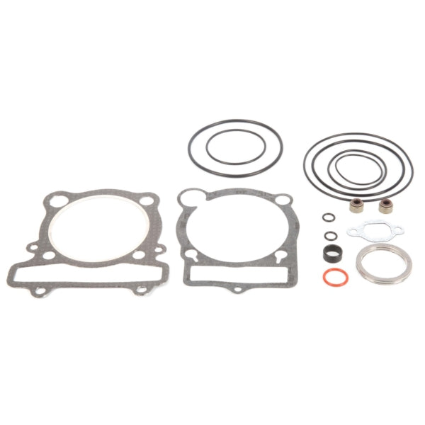 VertexWinderosa Top End Gasket (059313)