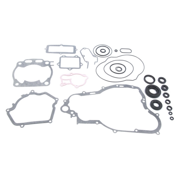 VertexWinderosa Complete Gasket Set with Oil Seals - 811 (059646)