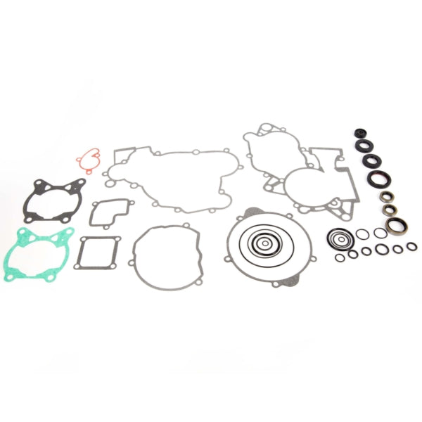 VertexWinderosa Complete Gasket Set with Oil Seals - 811 (059759)