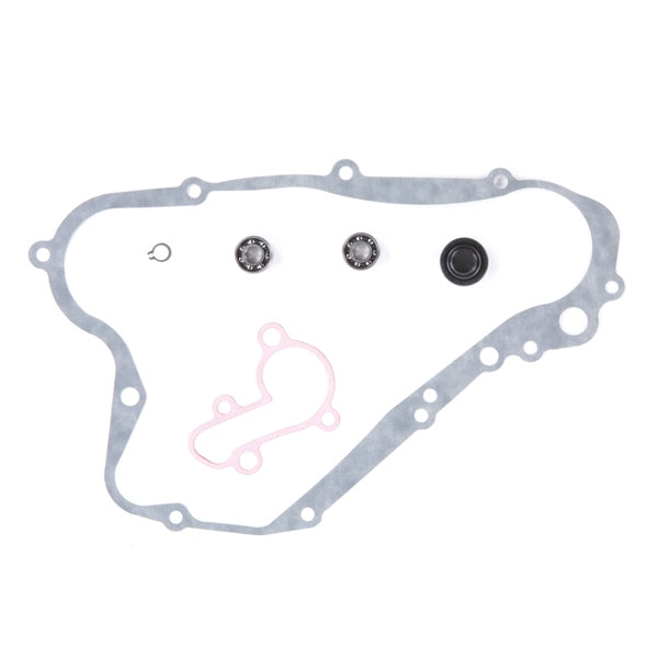 VertexWinderosa Water Pump Repair Kit (159308)