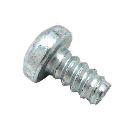 1623-969 SCREW.MAG FORM-TXPH-M6X2.0X12 Z&C