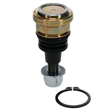 ATV/UTV Suspension