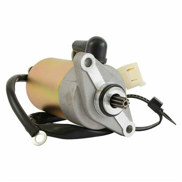 Arrowhead Starter (188213)