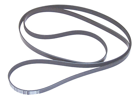 Sierra Marine Belt, Serpentine (774656)