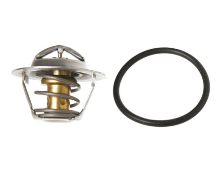 Sierra Thermostat Kit (717265)