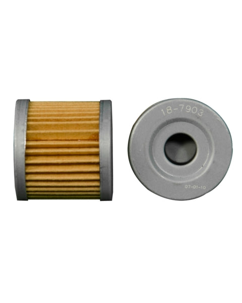 Sierra Oil Filter (722831)