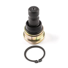 ATV/UTV Suspension