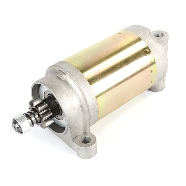 Kimpex Starter (193788)