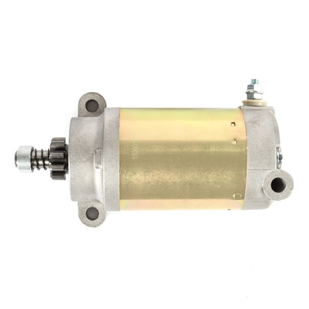 Kimpex Starter (193788)