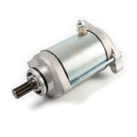 Kimpex Starter (193795)
