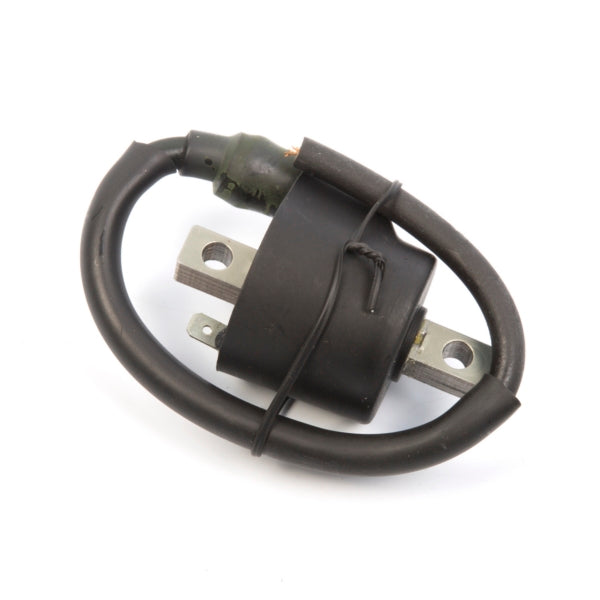 Kimpex Ignition Coil (195067)