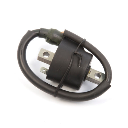 Kimpex Ignition Coil (195067)