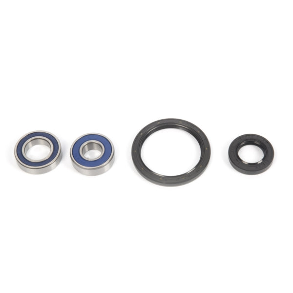 All Balls Wheel Bearing & Seal Kit (206029)