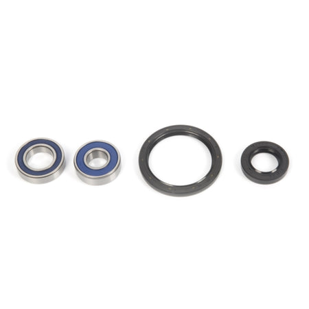 All Balls Wheel Bearing & Seal Kit (206029)