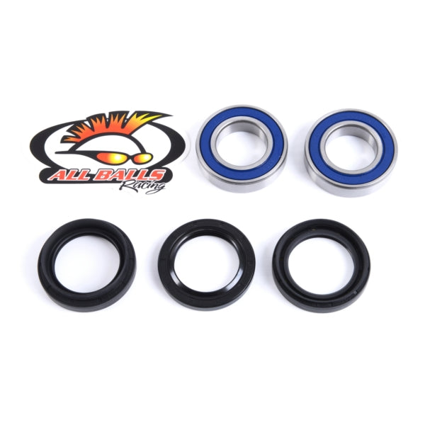 All Balls Wheel Bearing & Seal Kit (206042)
