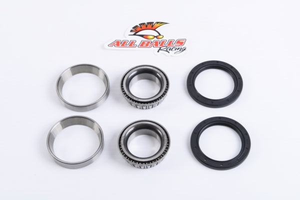 All Balls Wheel Bearing & Seal Kit (206066)