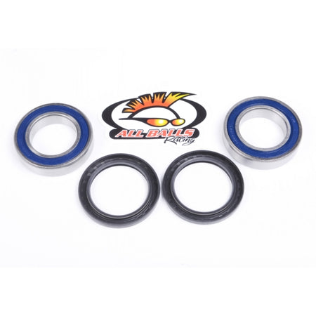 All Balls Wheel Bearing & Seal Kit (206093)