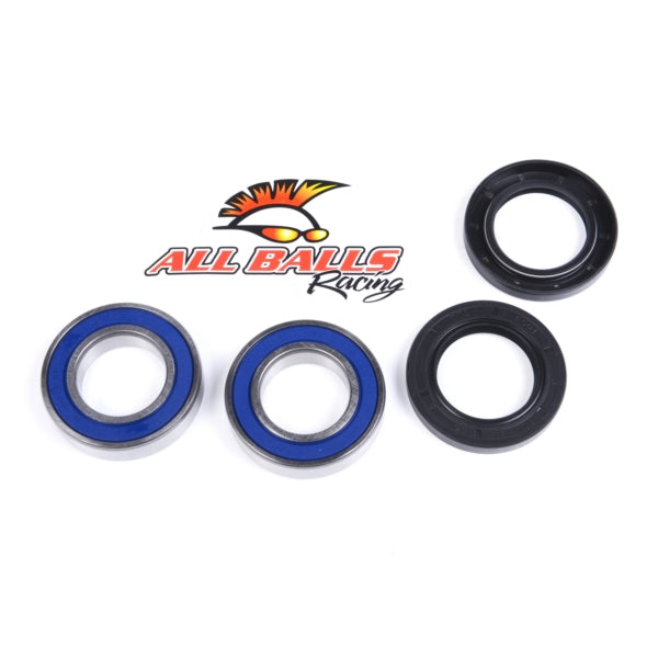 All Balls Wheel Bearing & Seal Kit (206115)