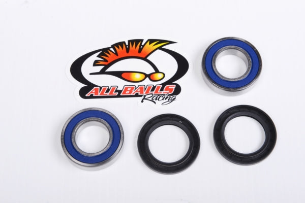 All Balls Wheel Bearing & Seal Kit (206482)