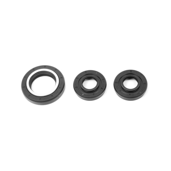 All Balls Differential Seal Kit (206856)