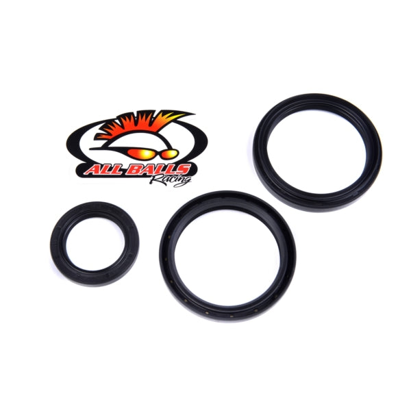 All Balls Differential Seal Kit (206871)