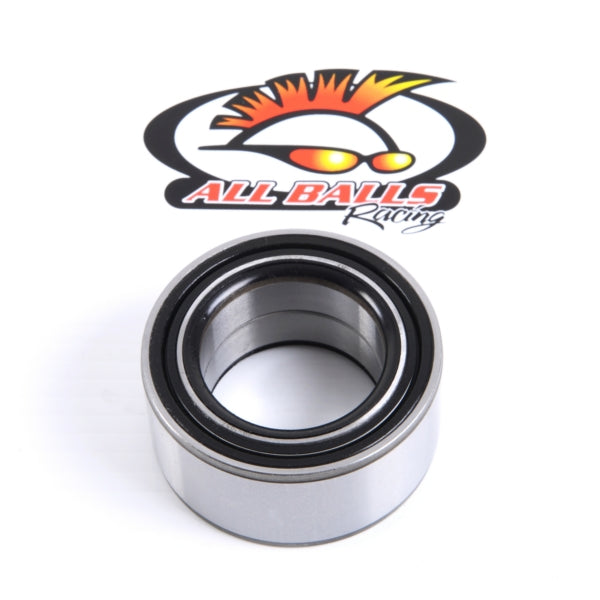 All Balls Wheel Bearing & Seal Kit (206887)