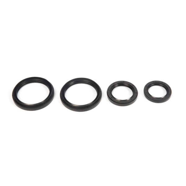 All Balls Differential Seal Kit (207328)